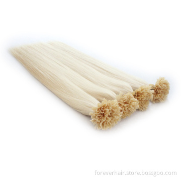 wholeale price human remy prebonded extension u tip hair